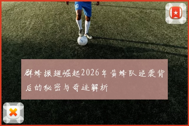 群蜂振翅崛起2026年黄蜂队逆袭背后的秘密与奇迹解析
